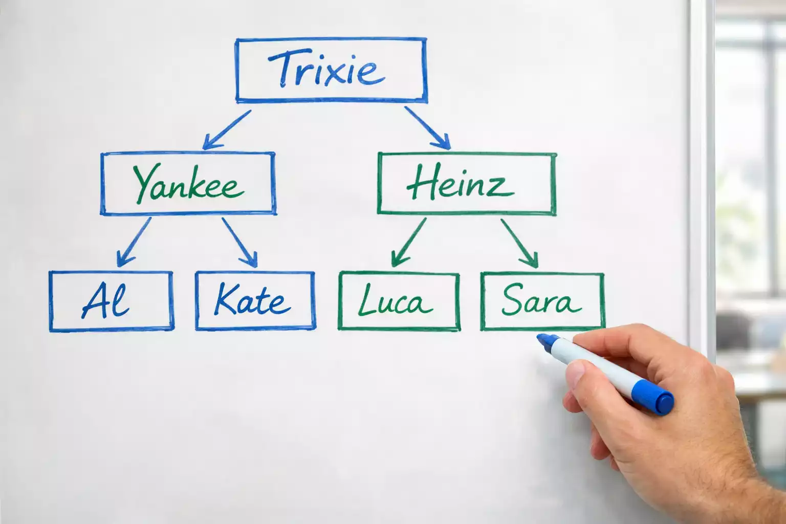 Schema visivo con frecce che collegano diversi elementi su lavagna